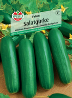 Ogórek sałatkowy 'Fatum' F1 Nasiona PREMIUM Sperli