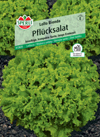 Sałata 'Lollo Bionda' Nasiona PREMIUM Sperli