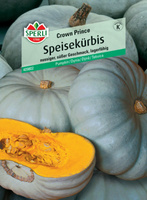 Dynia 'Crown Prince' F1 Nasiona PREMIUM Sperli