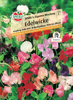 Groszek pachnący 'SPERLI's Gigantea Mischung' Nasiona PREMIUM Sperli