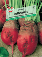 Burak pastewny 'Eckdorot' Nasiona PREMIUM Sperli