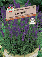 Lawenda 'SPERLI's Blaues Wunder' Nasiona PREMIUM Sperli