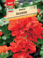 Geranium 'Madeira' Nasiona PREMIUM Sperli