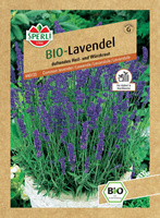 Lawenda Nasiona PREMIUM Sperli