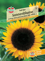 Słonecznik 'Full Sun' F1 Nasiona PREMIUM Sperli