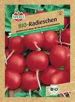 Rzodkiewka 'Cherry Belle' Nasiona PREMIUM Sperli