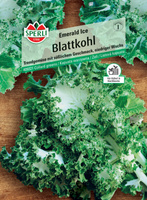 Kapusta warzywna 'Emerald Ice' Nasiona PREMIUM Sperli
