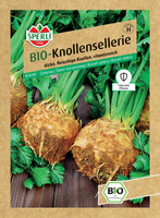 Seler korzeniowy 'Mars' Nasiona PREMIUM Sperli