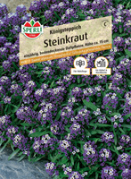 Smagliczka 'Königsteppich' Nasiona PREMIUM Sperli