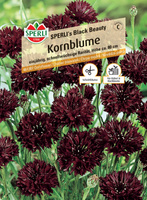 Chaber bławatek 'SPERLI's Black Beauty' Nasiona PREMIUM Sperli