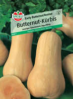 Dynia 'Early Butternut/Avalon' F1 Nasiona PREMIUM Sperli