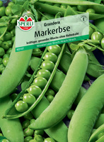 Groch 'Grandera' Nasiona PREMIUM Sperli