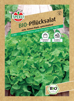 Sałata 'Salad Bowl' Nasiona PREMIUM Sperli