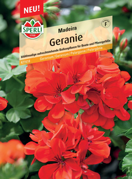 Geranium 'Madeira' Nasiona PREMIUM Sperli