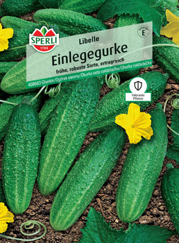 Ogórek siewny 'Libelle' F1 Nasiona PREMIUM Sperli