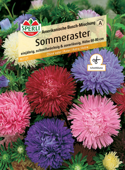 Aster 'Amerikanische Busch-Mischung' Nasiona PREMIUM Sperli