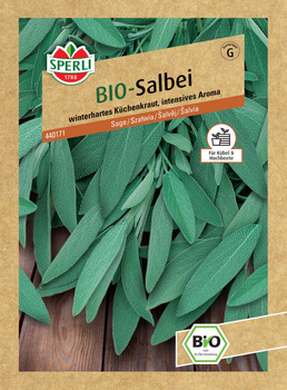 Szałwia Nasiona PREMIUM Sperli