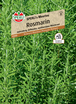 Rozmaryn 'SPERLI's Meertau' Nasiona PREMIUM Sperli