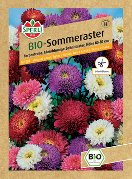 Aster chiński 'Zuckertüten Mix' Nasiona PREMIUM Sperli