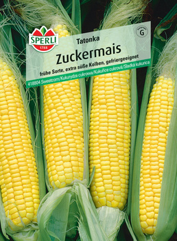 Kukurydza cukrowa 'Tatonka' F1 Nasiona PREMIUM Sperli
