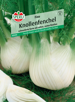 Koper włoski 'Fino' Nasiona PREMIUM Sperli
