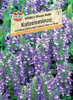 Kocimiętka 'SPERLI's Blauer Kater' Nasiona PREMIUM Sperli