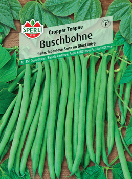 Fasola karłowa 'Cropper Teepee' Nasiona PREMIUM Sperli