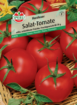 Pomidor 'Harzfeuer' F1 Nasiona PREMIUM Sperli
