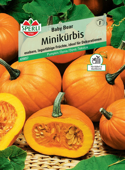 Dynia 'Baby Bear' Nasiona PREMIUM Sperli