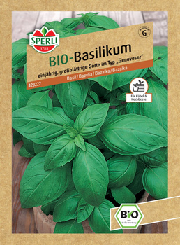 Bazylia 'Großer Grüner Genoveser' Nasiona PREMIUM Sperli