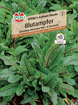 Szczaw gajowy 'SPERLI's Essbare Staude' Nasiona PREMIUM Sperli