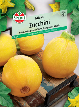 Cukinia 'Midas' F1 Nasiona PREMIUM Sperli