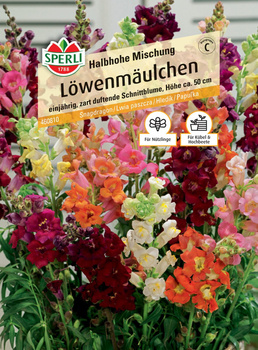 Lwia paszcza 'Halbhohe Mischung' Nasiona PREMIUM Sperli