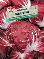 Palla Rossa 3 ( Cykoria włoska )