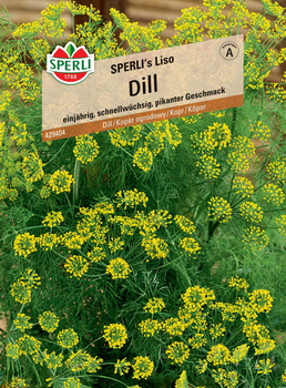 Koper ogrodowy 'SPERLI's Liso' Nasiona PREMIUM Sperli