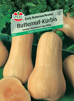Dynia 'Early Butternut/Avalon' F1 Nasiona PREMIUM Sperli