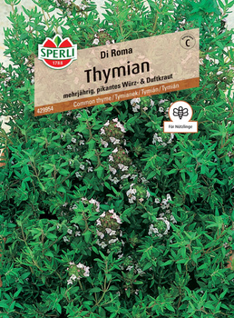 Tymianek 'Di Roma' Nasiona PREMIUM Sperli