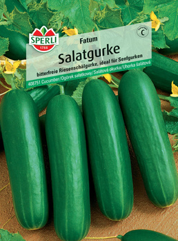 Ogórek sałatkowy 'Fatum' F1 Nasiona PREMIUM Sperli