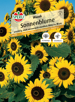 Słonecznik 'Waooh' Nasiona PREMIUM Sperli