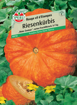 Dynia 'Rouge vif d'Etampes' Nasiona PREMIUM Sperli