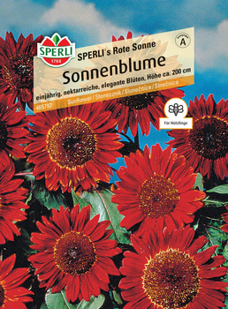 Słonecznik 'SPERLI's Rote Sonne' Nasiona PREMIUM Sperli