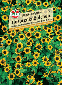 Sanwitalia rozesłana 'SPERLI's Knöpfchen' Nasiona PREMIUM Sperli