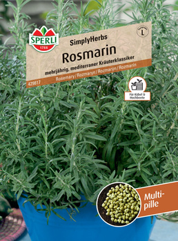 Rozmaryn 'SimplyHerbs' Nasiona PREMIUM Sperli