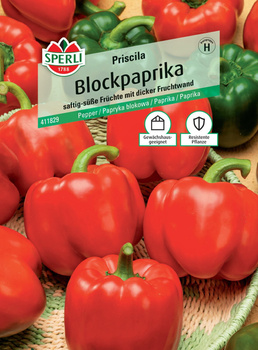 Papryka blokowa 'Priscila' F1 Nasiona PREMIUM Sperli