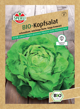 Sałata głowiasta 'Suzan' Nasiona PREMIUM Sperli