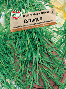 Estragon 'SPERLI's Kleiner Drache' Nasiona PREMIUM Sperli