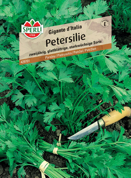 Pietruszka 'Gigante d'Italia' Nasiona PREMIUM Sperli