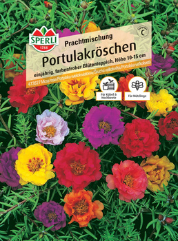 Portulaka wielokwiatowa 'Prachtmischung' Nasiona PREMIUM Sperli