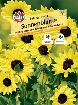 Słonecznik 'Soluna Lemon' Nasiona PREMIUM Sperli