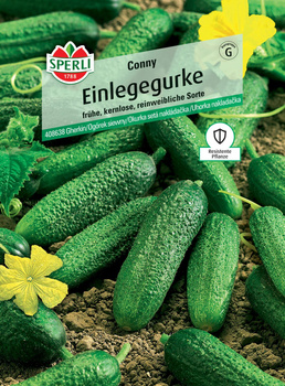 Ogórek siewny 'Conny' F1 Nasiona PREMIUM Sperli